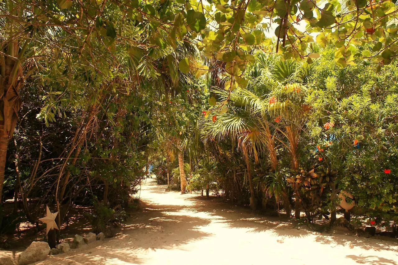 Cabanas La Luna Hotel Tulum Pueblo