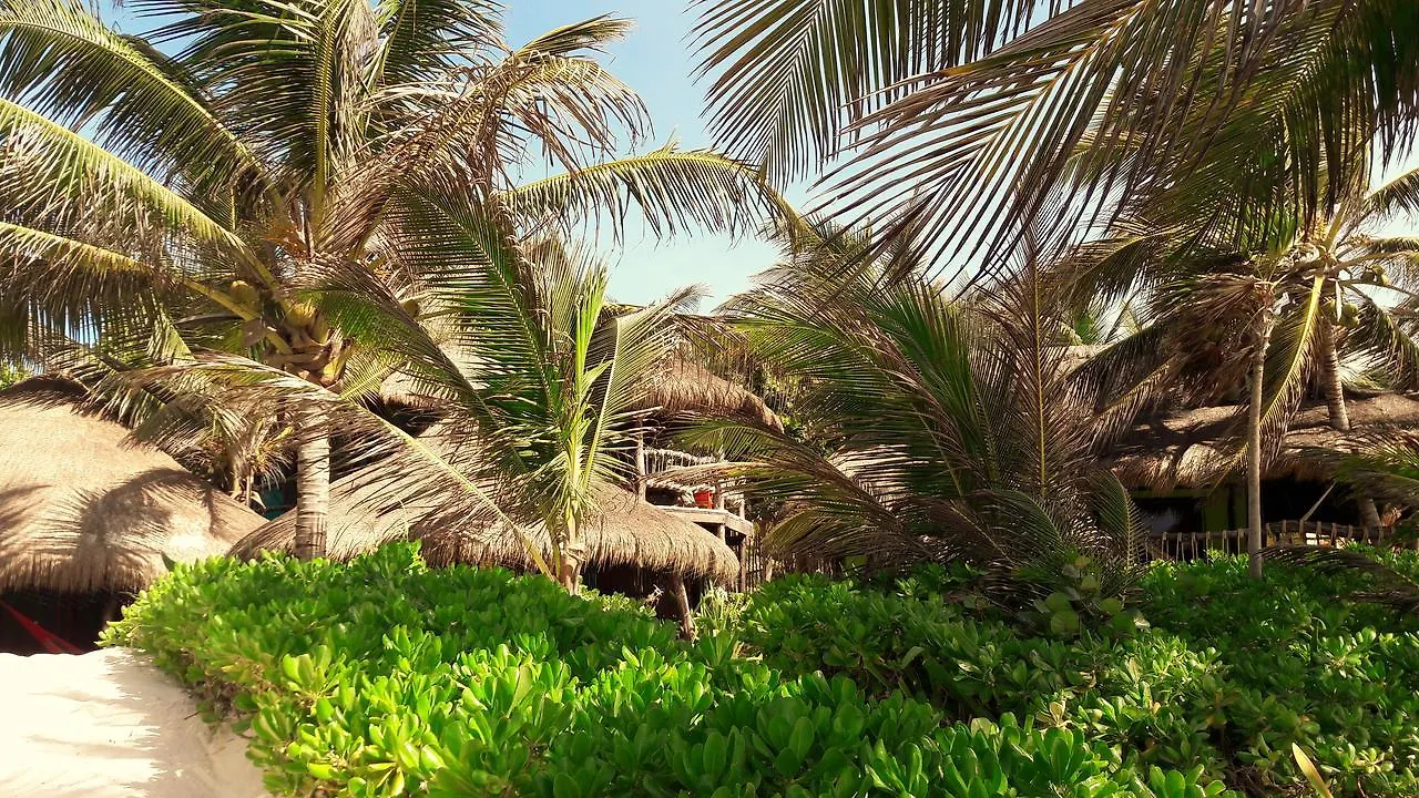 Cabanas La Luna Hotel Tulum Pueblo