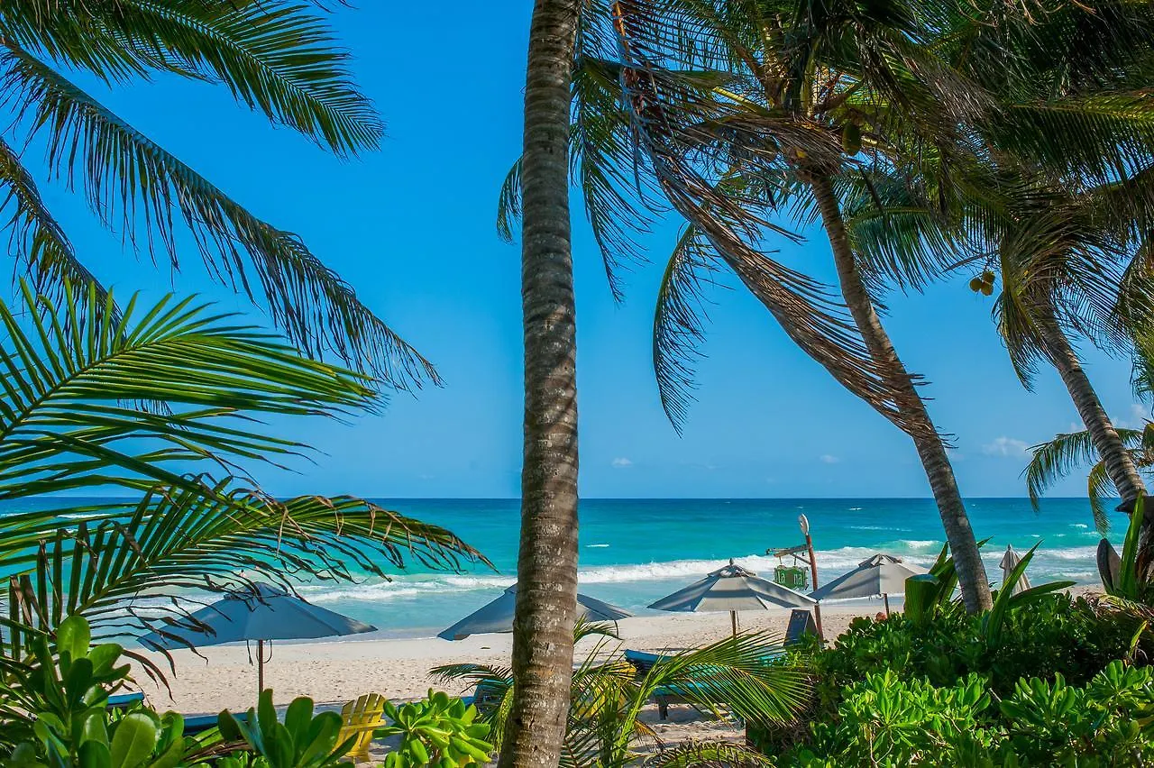 Cabanas La Luna Hotel Tulum Pueblo